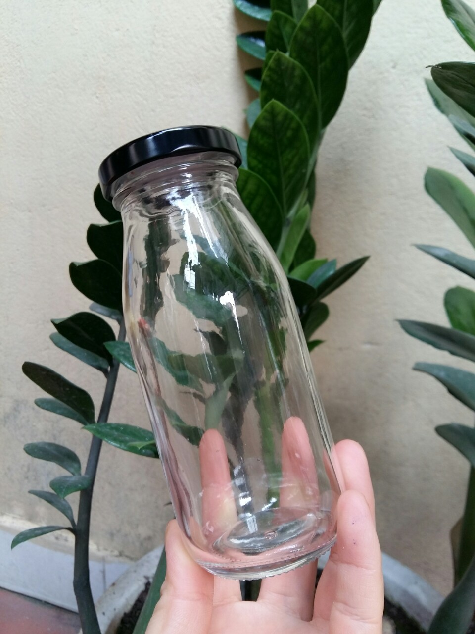 Sét 6 chai thủy tinh đựng nước ép 250ML