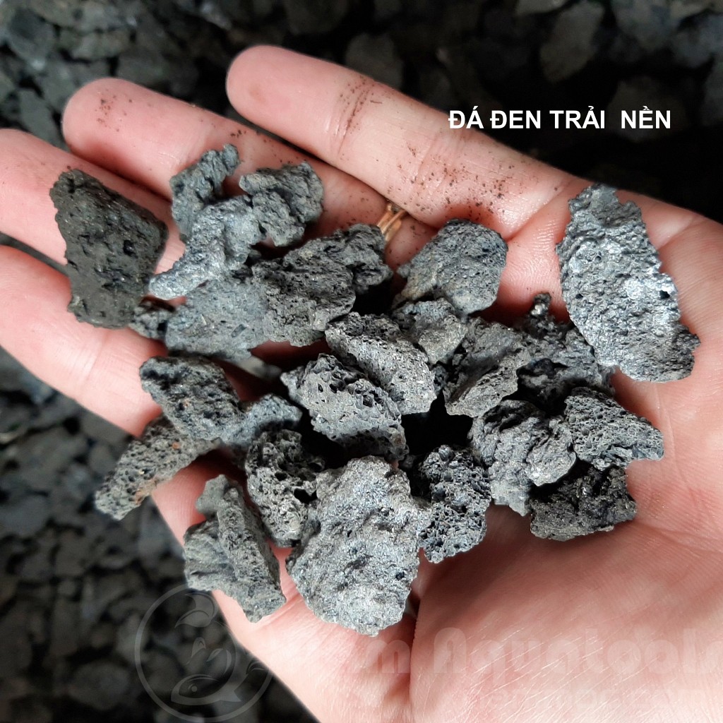 1KG Đá Đen Gia Lai - Setup Bể Thuỷ Sinh Cực Đẹp