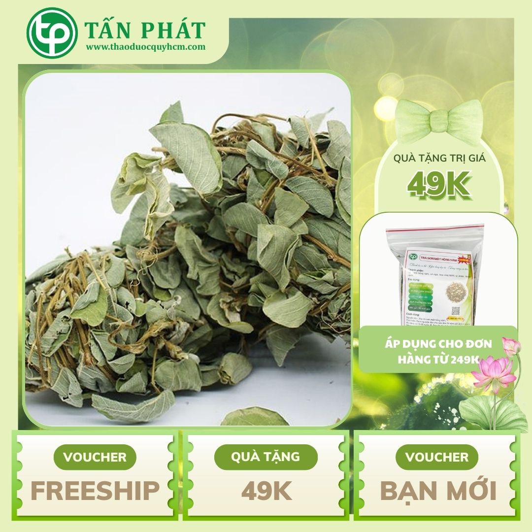 [Túi lớn loại 1kg] Kim tiền thảo dược Tấn Phát - chuyên dùng để pha trà thanh nhiệt và giải độc