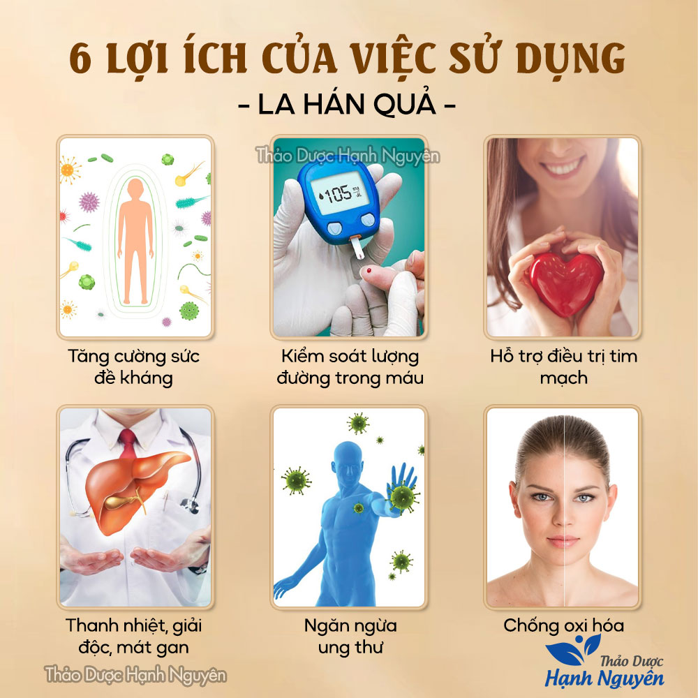 15 Quả la hán ( Trái to già không vỡ) - Thảo dược Hạnh Nguyên