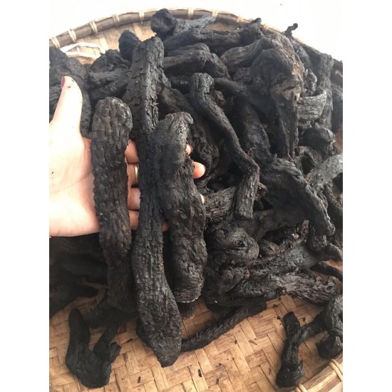 Nhục thung dung khô 100g - Thảo Dược Tấn Phát