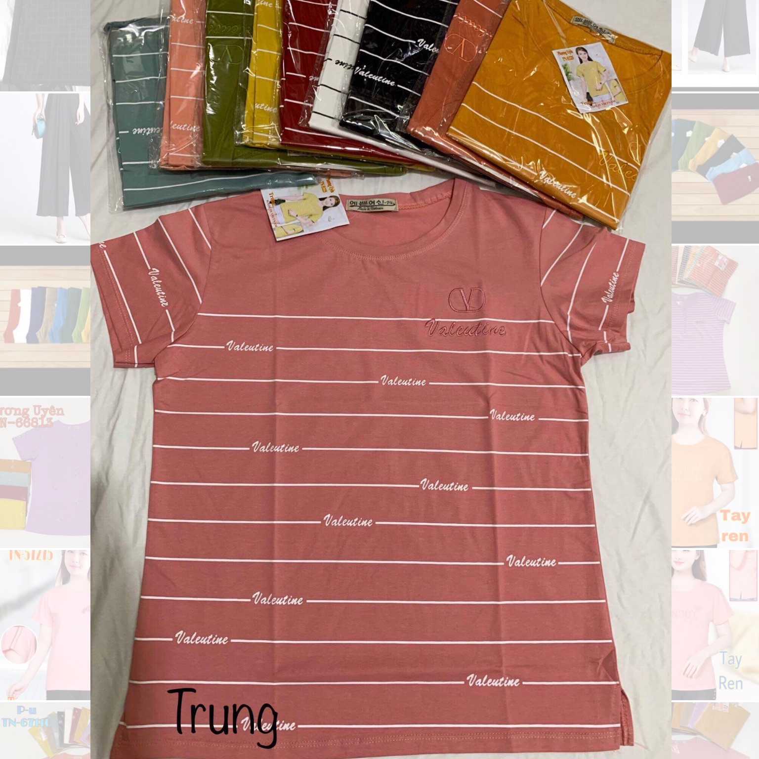 [HCM]Áo thun cotton Quảng Châu size 40-68kg (khách mua xem phần mô tả sản phẩm dùm shop nhé)