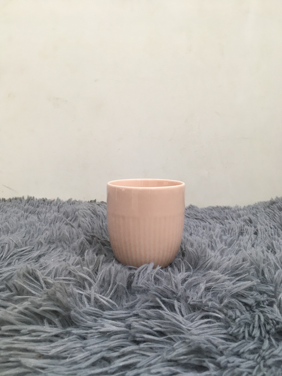 Ly không quai 300 ml