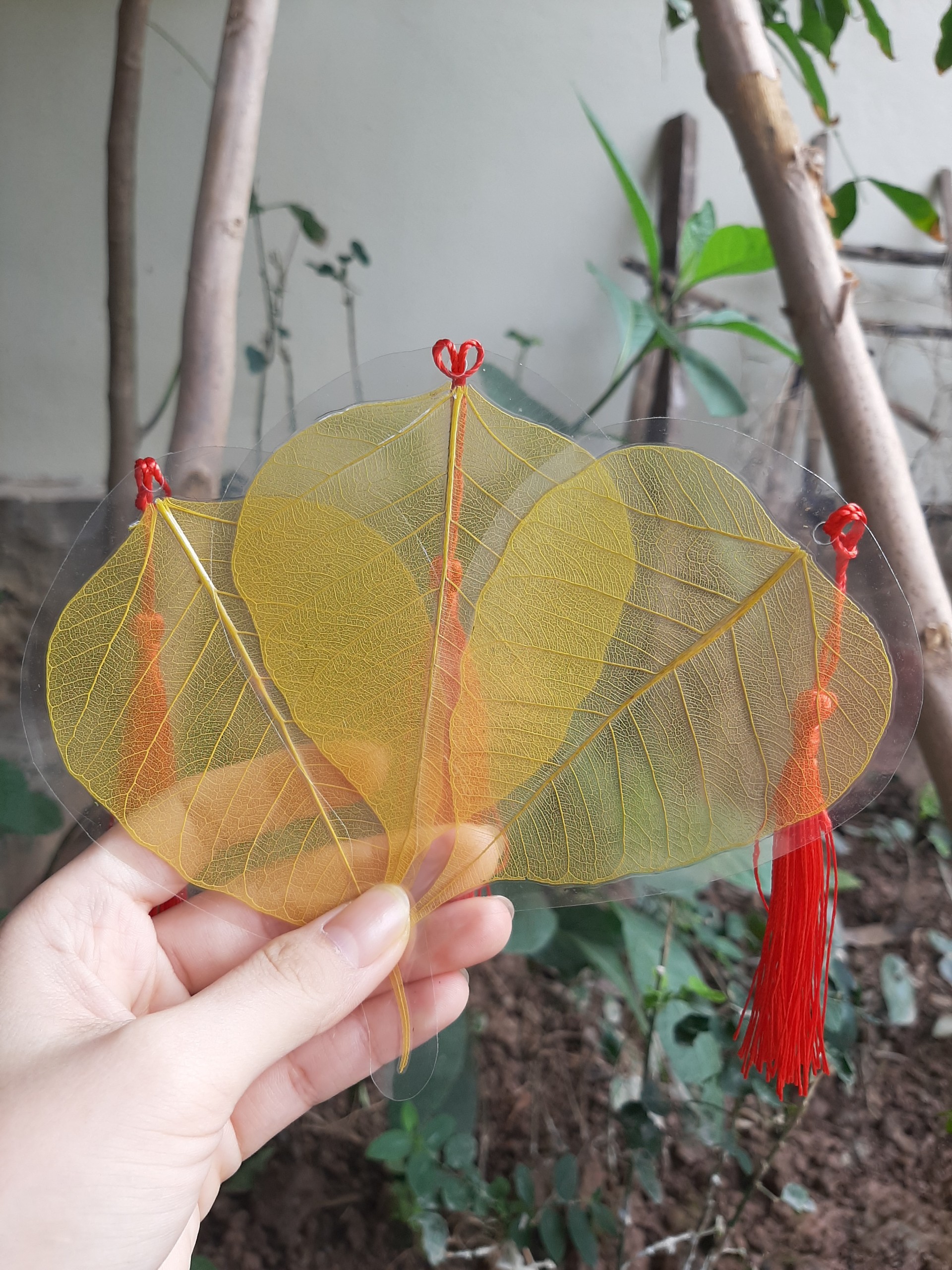 Lá bồ đề ép sẵn dùng để viết thư pháp size8-9cm