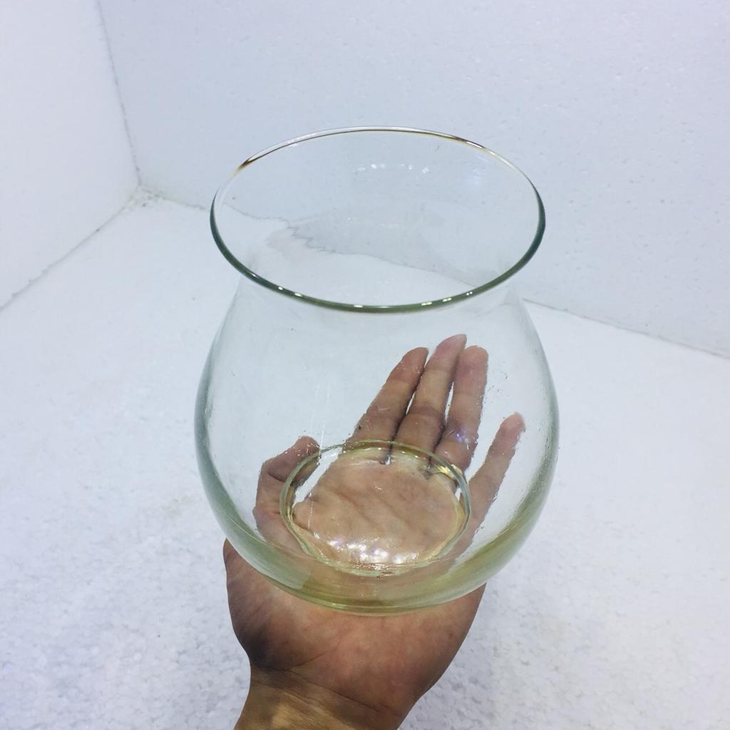 Chậu thủy tinh để bàn trang trí