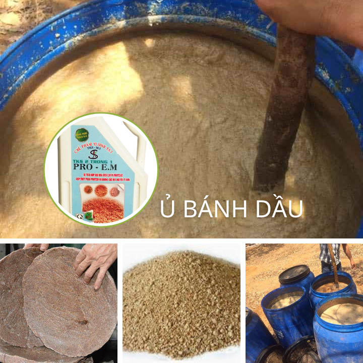 Men Vi Sinh Ủ Phân Cá, Phân Bánh Dầu Làm Phân Hữu Cơ PRO E.M 2 TRONG 1 Can 2 Lít
