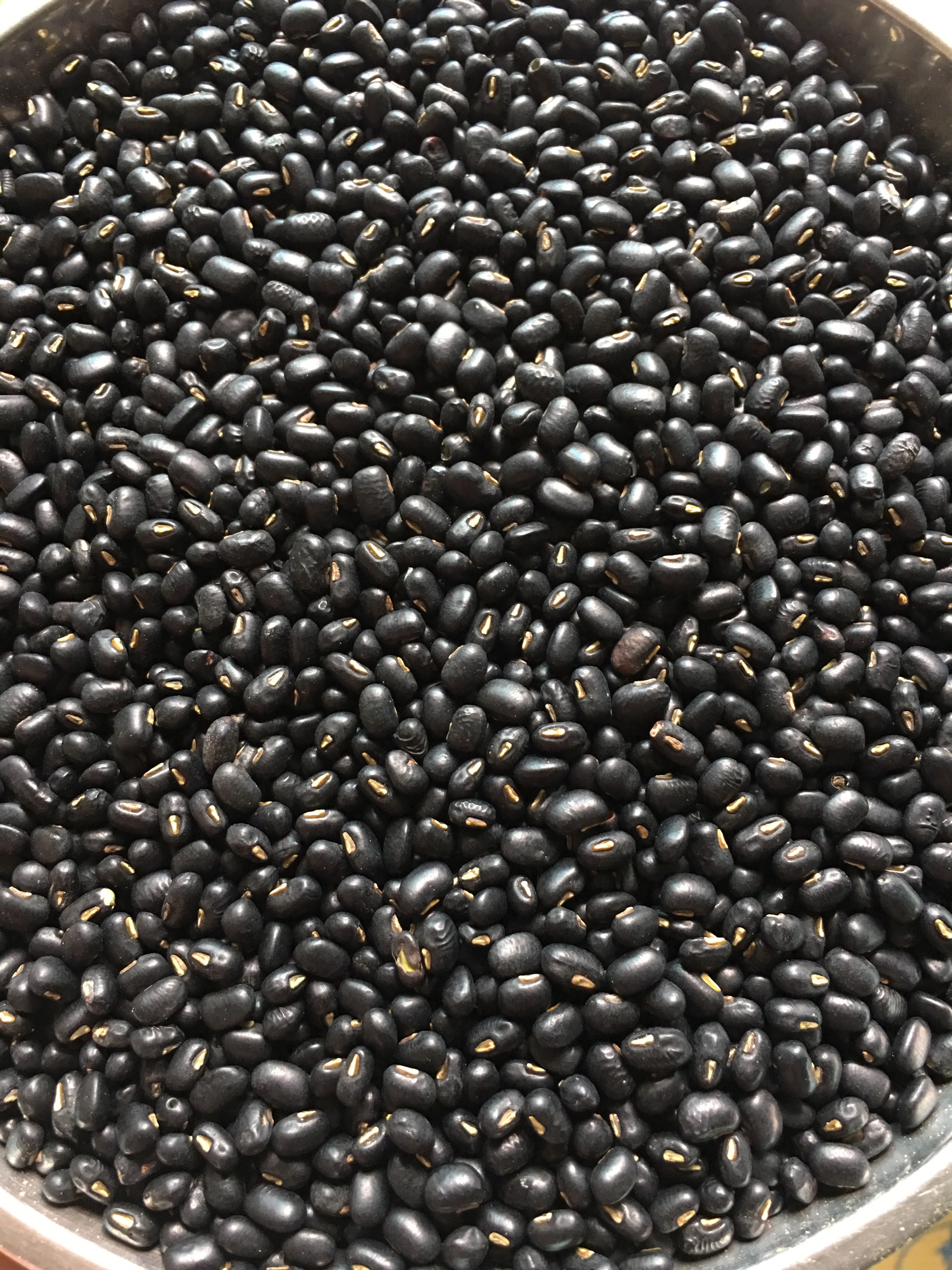 Đỗ đen quê: Sạch - Thơm - Bở - Xanh lòng 96% (gói 1kg hút chân không)