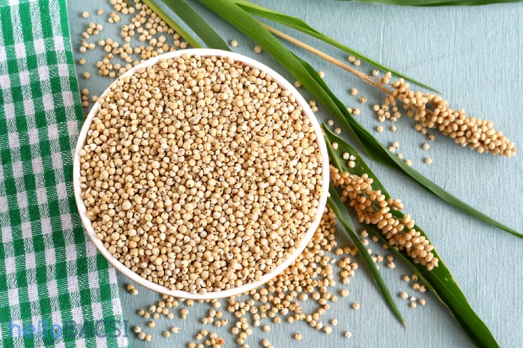 [HCM]Hạt ý dĩ (bobo) hữu cơ Sotto 500g
