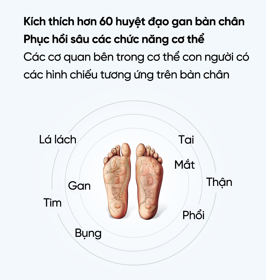 Máy Massage Chân Bấm Huyệt Xiaomi XGEEK F3 Hàng Chính Hãng Bảo Hành 6 Tháng  | Lazada.vn