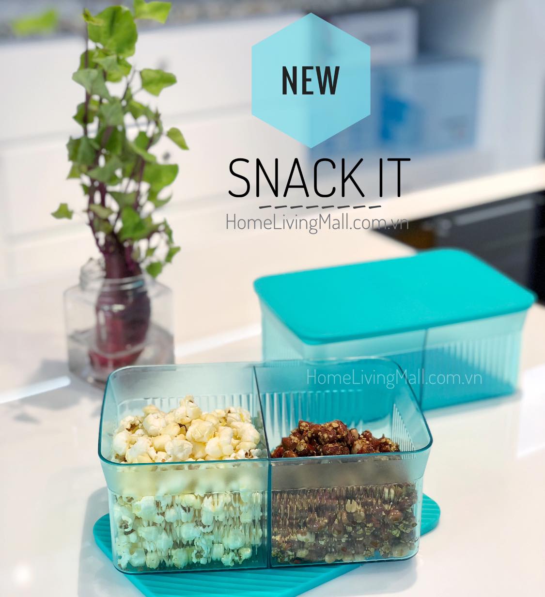 Hộp bảo quản thực phẩm Snack it Tupperware
