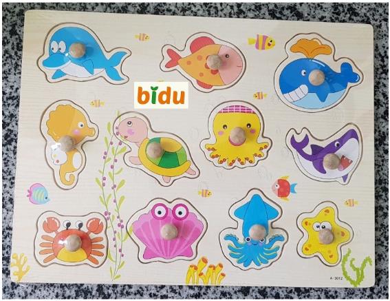 Bảng núm chủ đề động vật biển