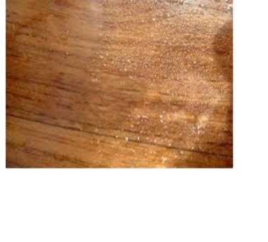 SƠN CHỐNG THẤM GỖ-Wood Waterproofing