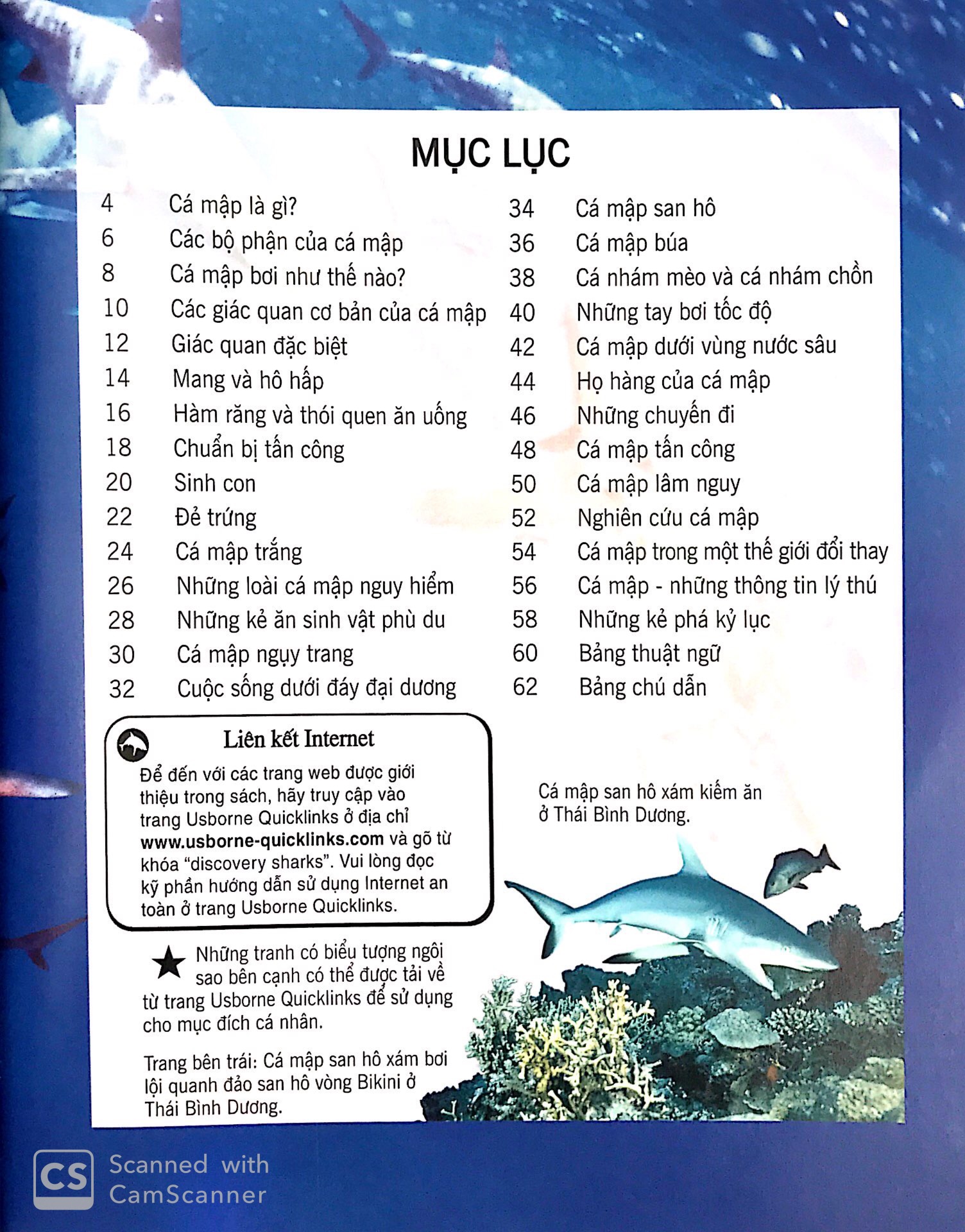 Sách Fahasa - Bách Khoa Tri Thức Về Khám Phá Thế Giới Cho Trẻ Em - Cá Mập (Tái Bản 2018)