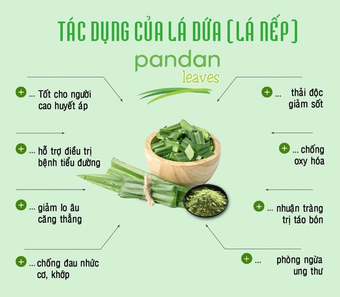 3. Ứng dụng của lá dứa trong đời sống hàng ngày