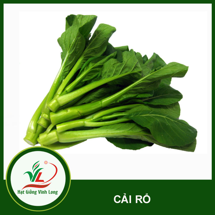 Hạt giống Cải Rổ RD 305 - 5g