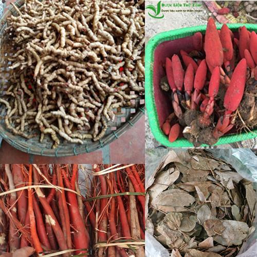 COMBO 4 MÓN nấm ngọc cẩu 250G, ba kích tím 250G, dâm dương hoắc 200G, sâm cau đỏ 300G tổng hơn 1kg