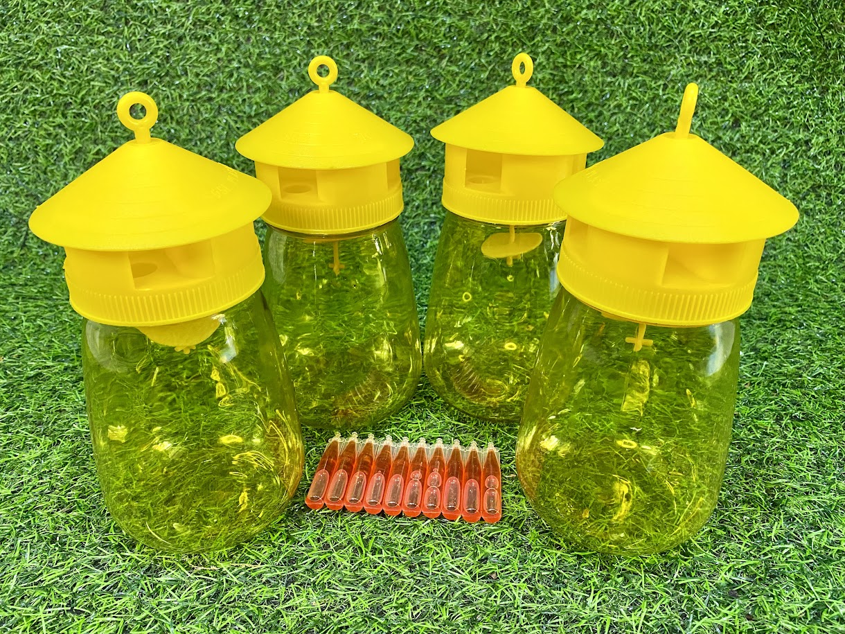 Bộ lồng bẫy ruồi vàng kèm chất dẫn dụ ruồi
