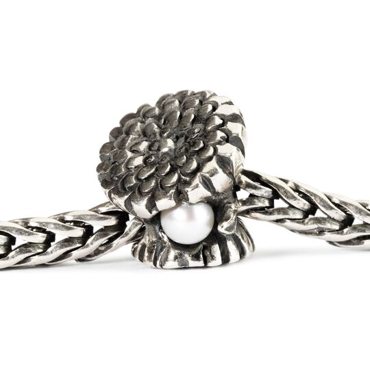TROLLBEADS Bead bạc cao cấp Calendula of October