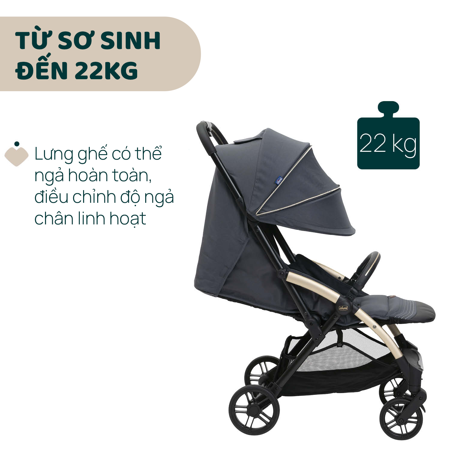 Xe đẩy gấp gọn Chicco Goody Xplus