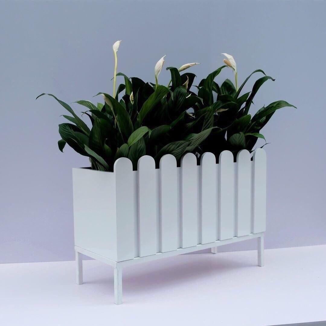 Chậu composite trồng cây