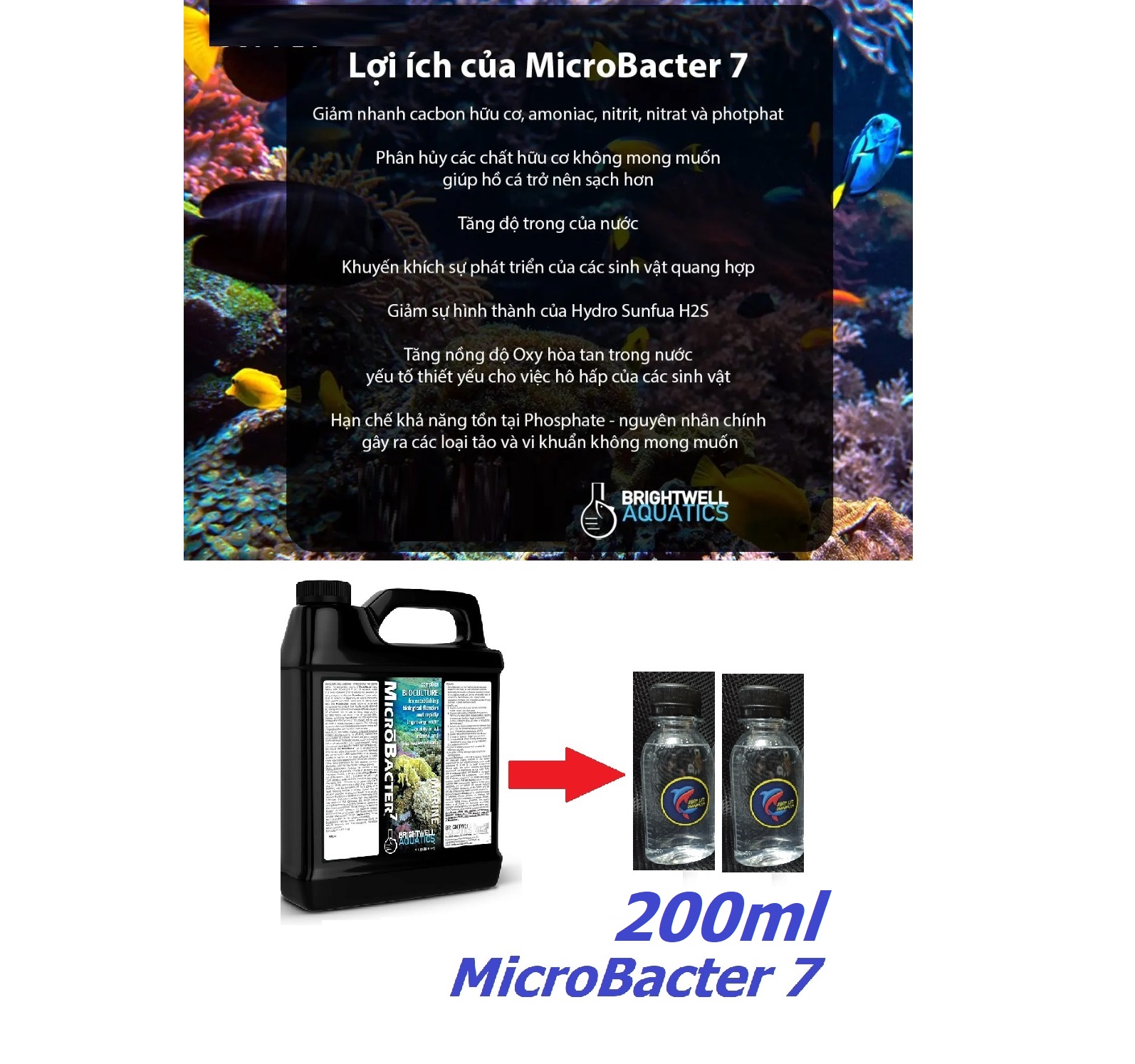 Vi sinh MicroBacter 7 chuyên dụng cho hồ cá biển, bể thủy sinh –vi sinh cao cấp Brigh.twell Aqua.tics - shopleo