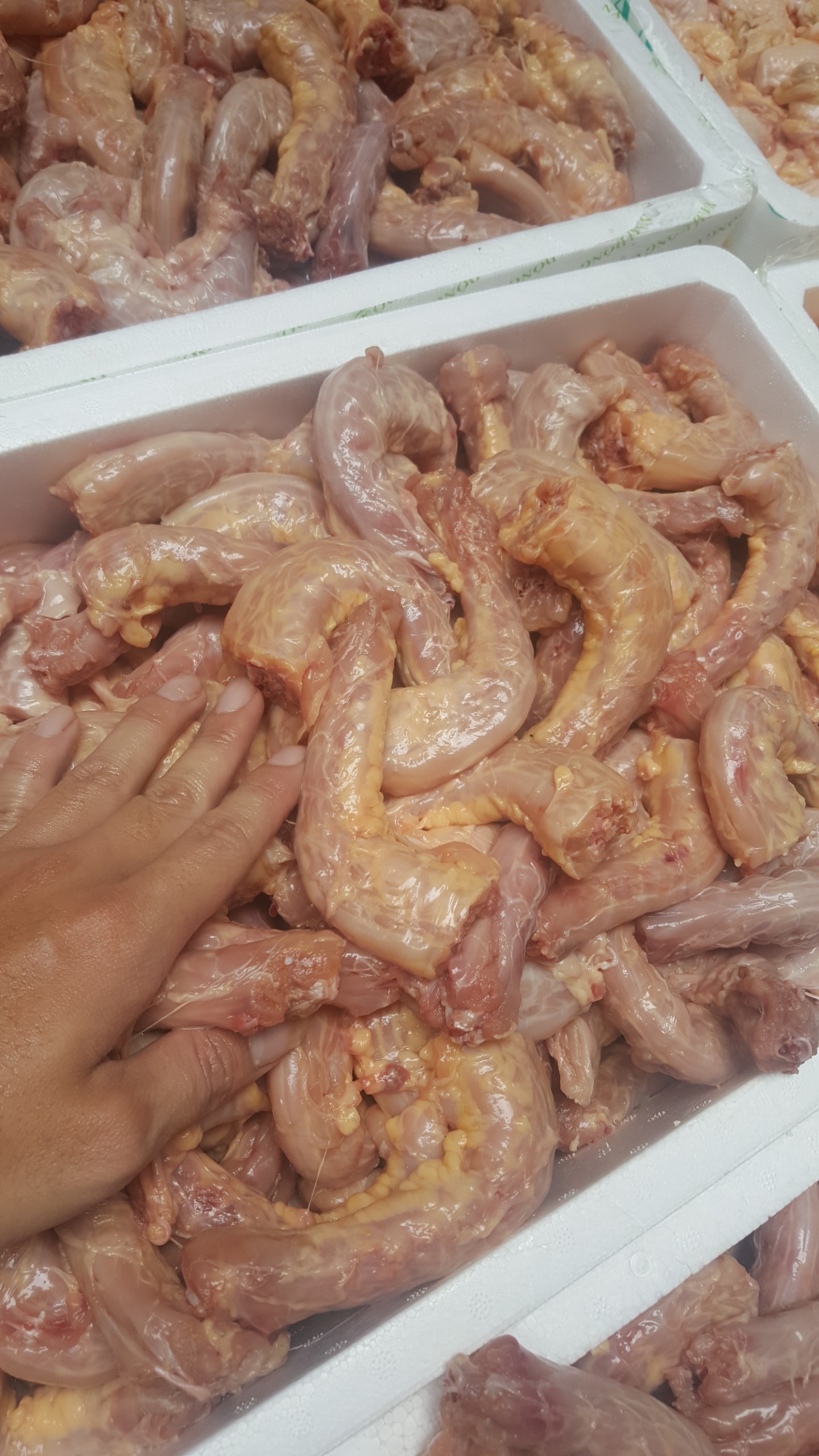 Cổ Gà Xay Chất Lượng Cao Hàng Công Ty