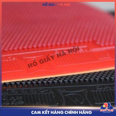 Mặt gai bóng bàn dawei 388c-1 gai trung 1.5mm