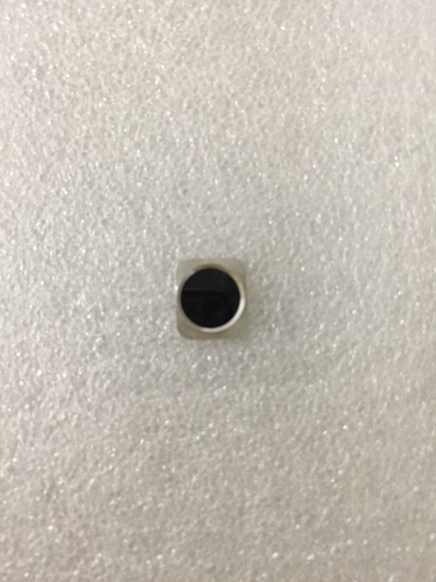 Nút home iphone 5S