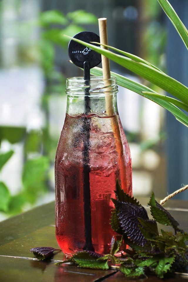 Nước tía tô mơ muối mật ong chai 500ml