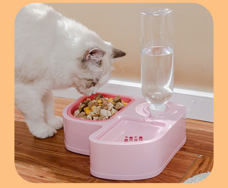 Food Bowl with 500ml Water Bottle for Dogs and Cats - T3 Pets Shop