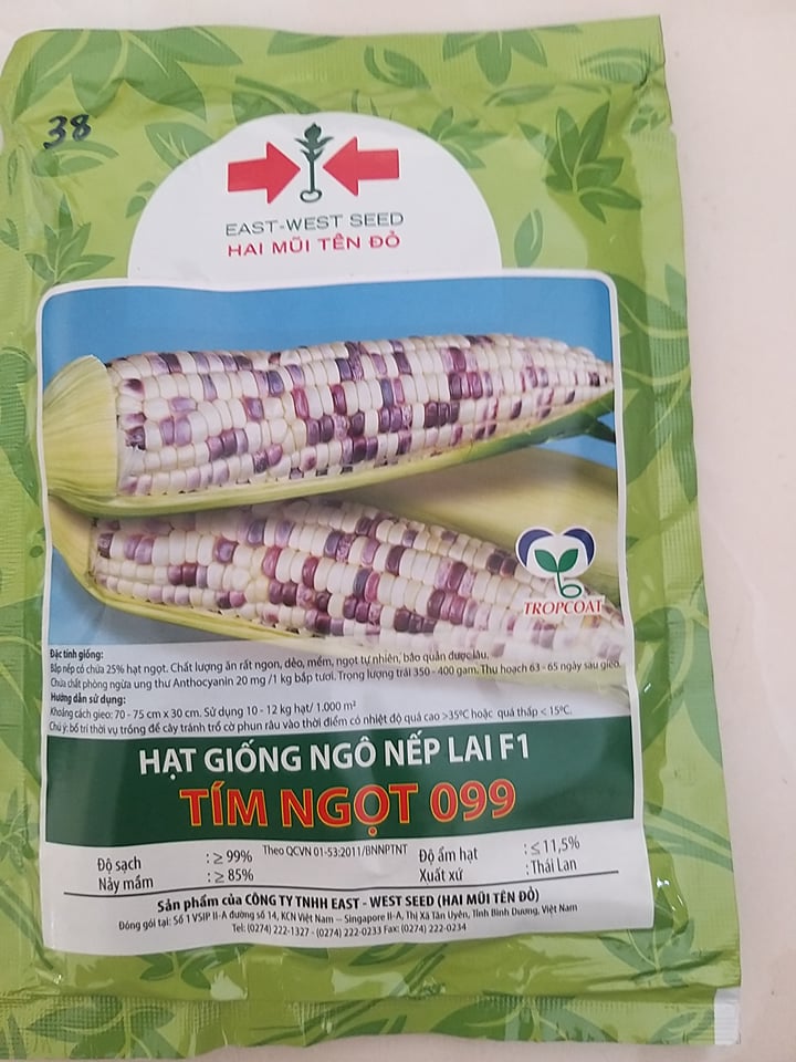 Hạt giống bắp nếp lai F1 Tím Ngọt 099 Hai Mũi Tên Đỏ gói 100g