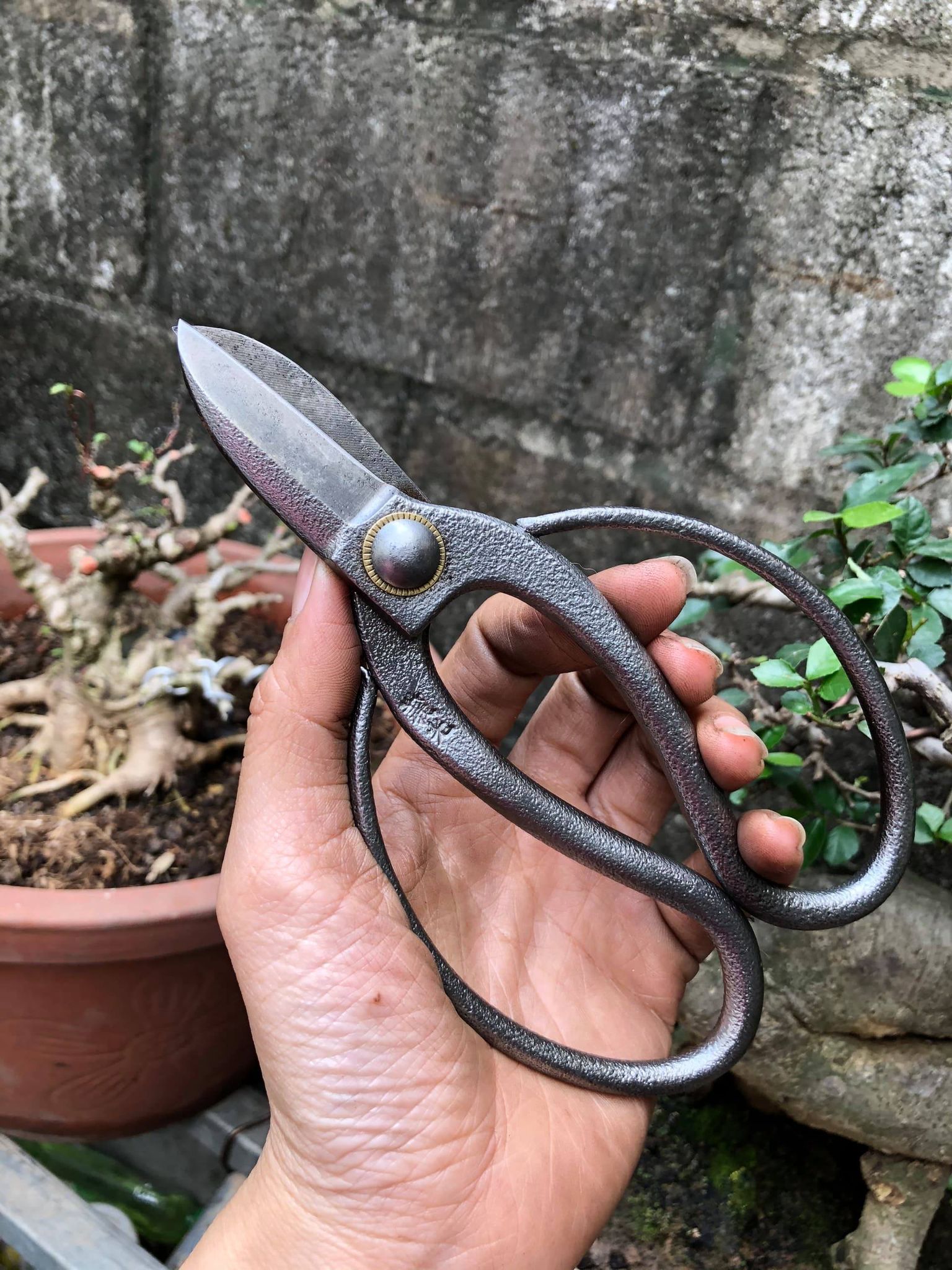 Kéo Cắt Tỉa Thép Trắng Đúc Cao Cấp
