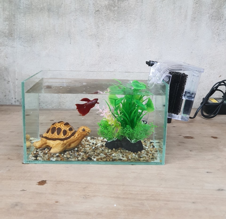 Bể cá mini 24 cm với 5 món (bể 24, sỏi nền, máy lọc, cây nhựa vừa, pk nhỏ)