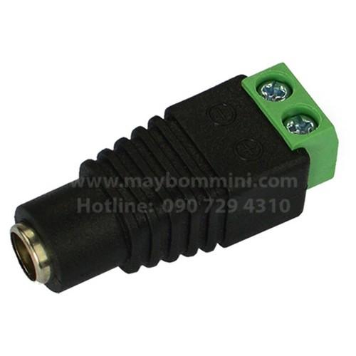 10 Đầu DC cái kiểu vặn ốc