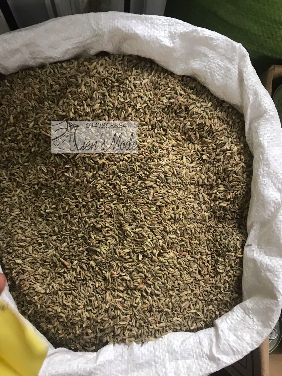 100gr Tiểu hồi Hương