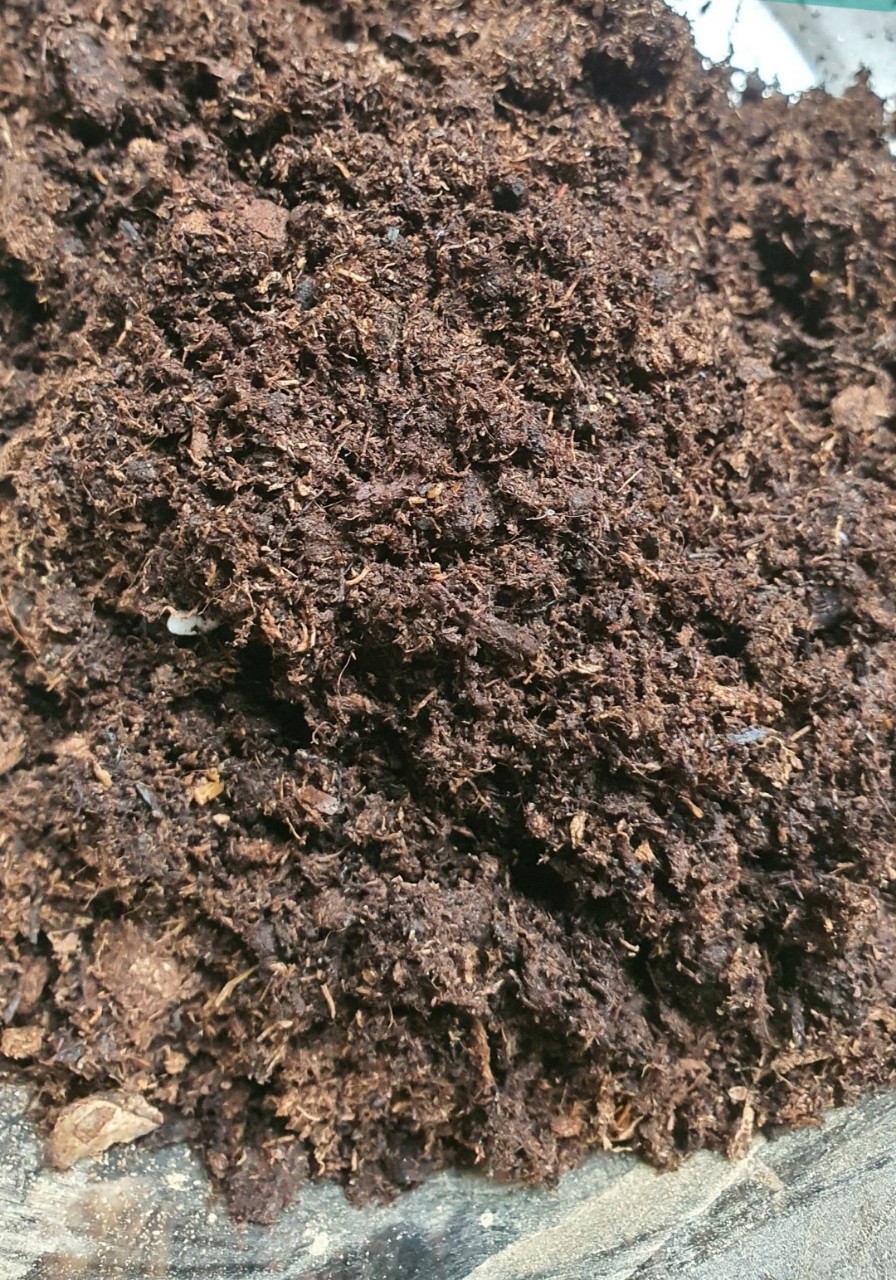 500g Peatmoss rêu mục than bùn ( Peatman )