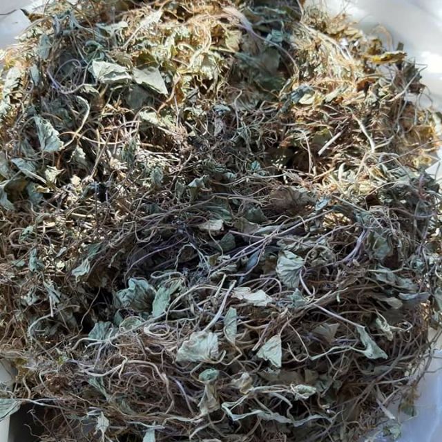 Rau má khô (Rau má mọc tự nhiên) 1 Kg
