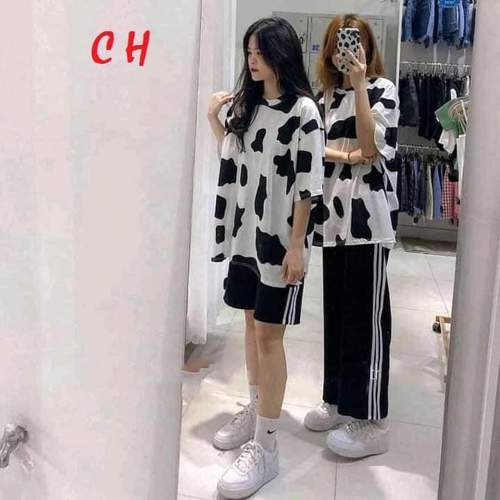 Sét áo bò sữa + quần