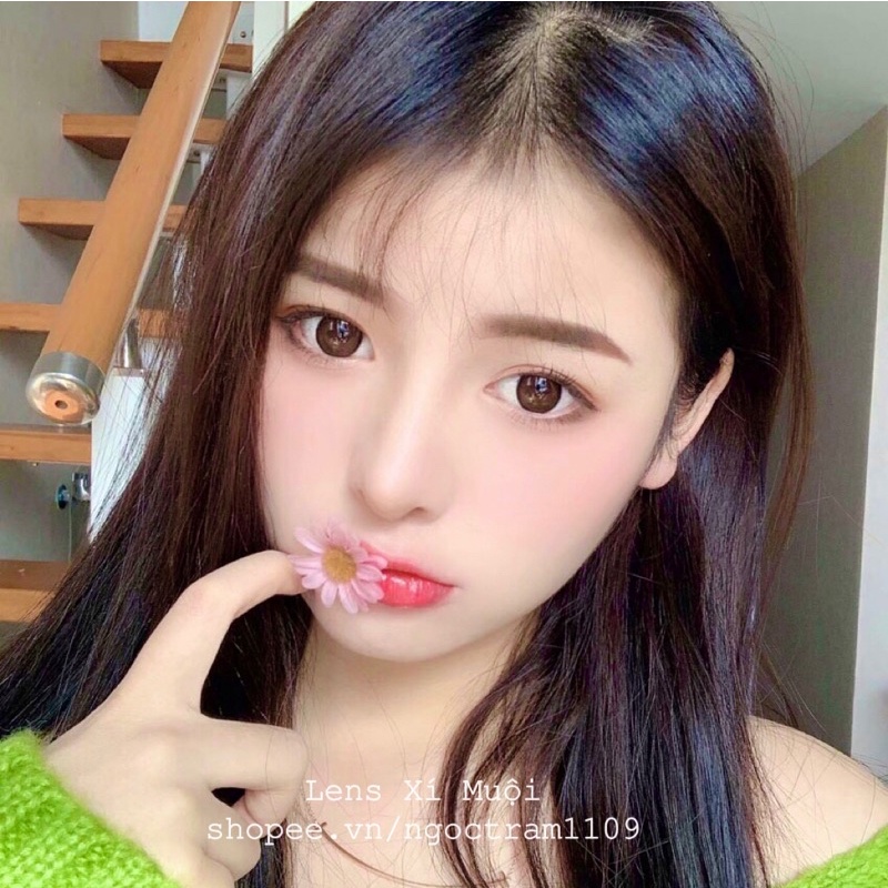 Lens nâu choco giãn vừa size 14.2mm có độ cận