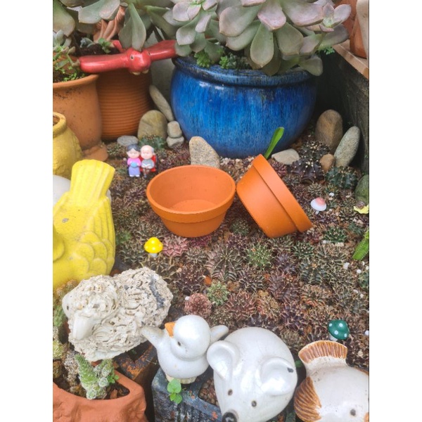 Chậu đất nung Bình Dương thau nhỏ sz 12x5.5