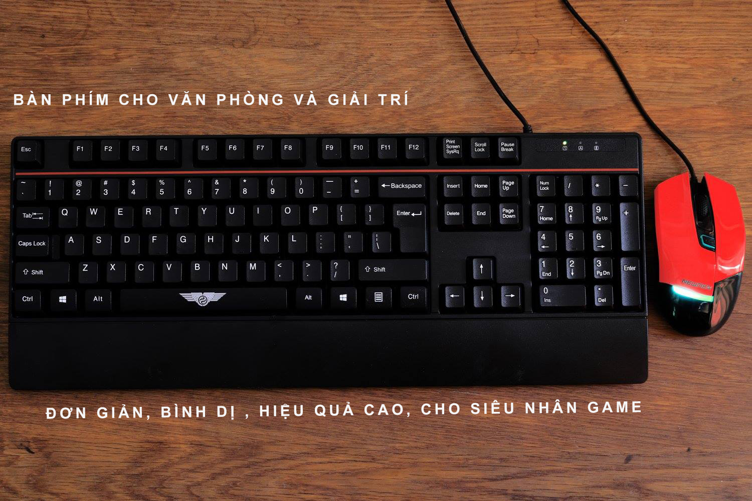 Bàn phím có dây Newmen E340 , USB Port - [Hàng chính hãng]