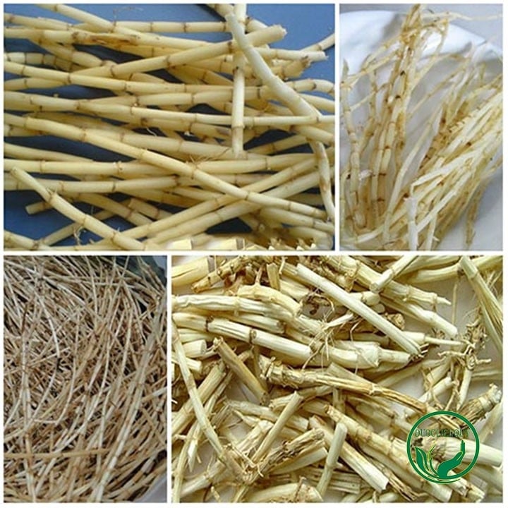 Rễ Cỏ Tranh Sấy Khô 500g