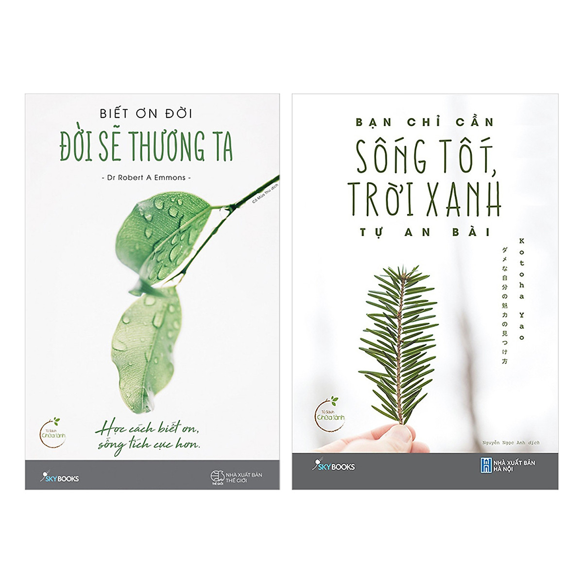 Biết Ơn Đời , Đời Sẽ Thương Ta