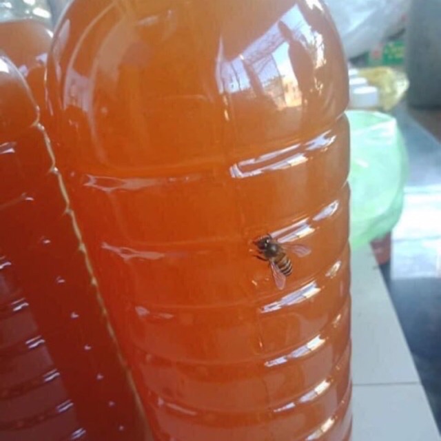 [HCM]Mật ong nguyên chất đảm bảo chất lượng 500ml