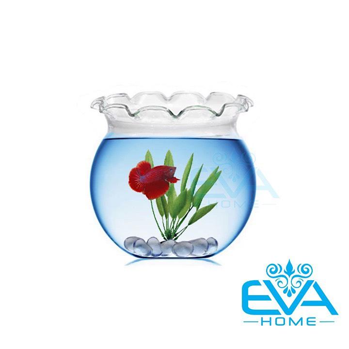 [HCM]Hồ Cá Bể Cá Miệng Bèo Thuỷ Tinh Mini B4 7 x 10 Cm Tặng Kèm Sỏi Và Rong Trang Trí