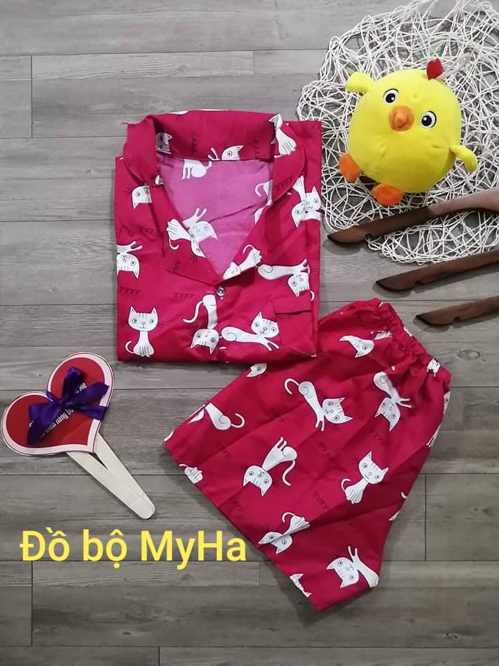 [HCM]Đồ Bộ pijama Kate Đùi  (mã 2)