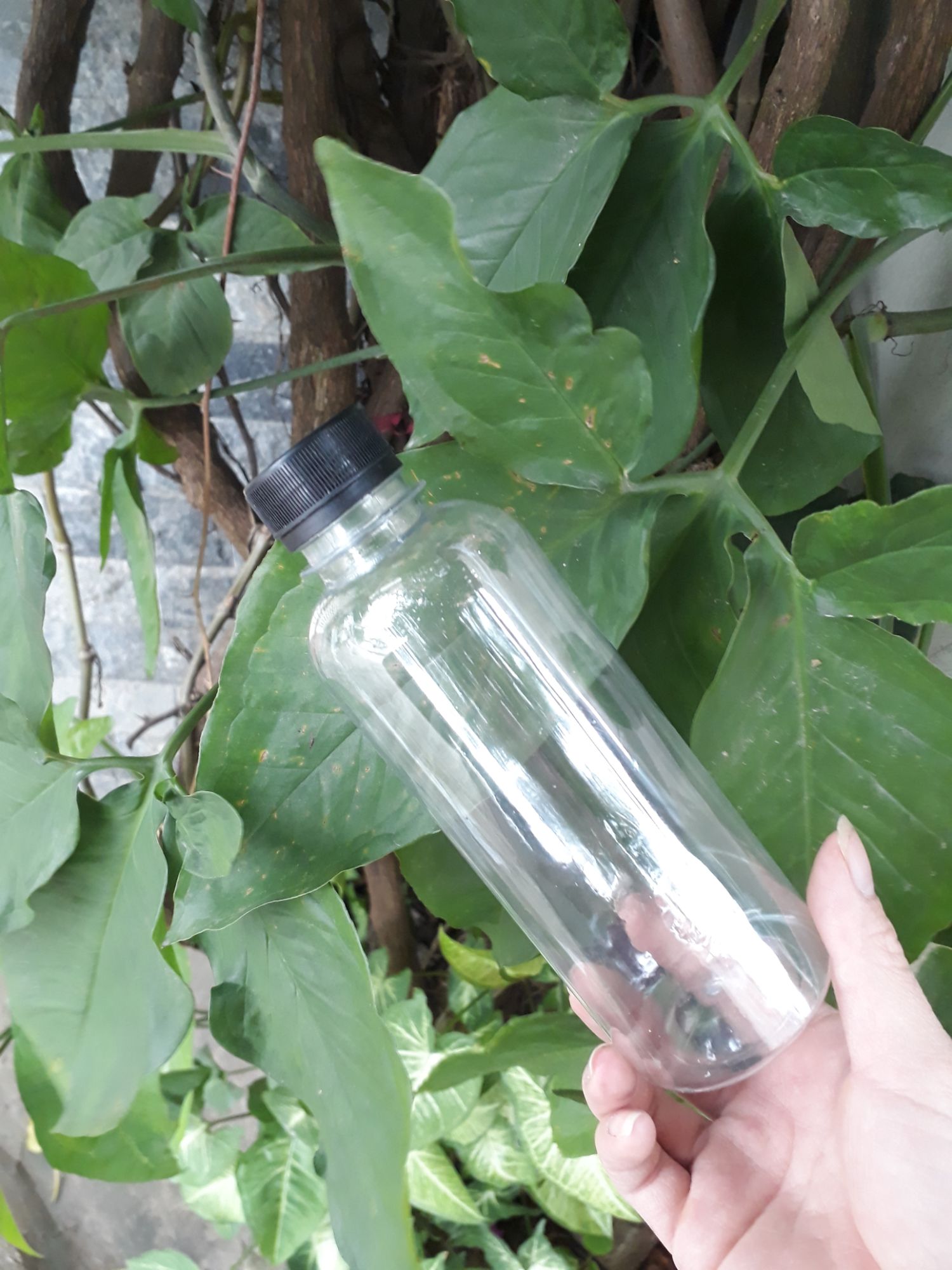 set 10 Chai nhựa tròn miệng vừa 330ml