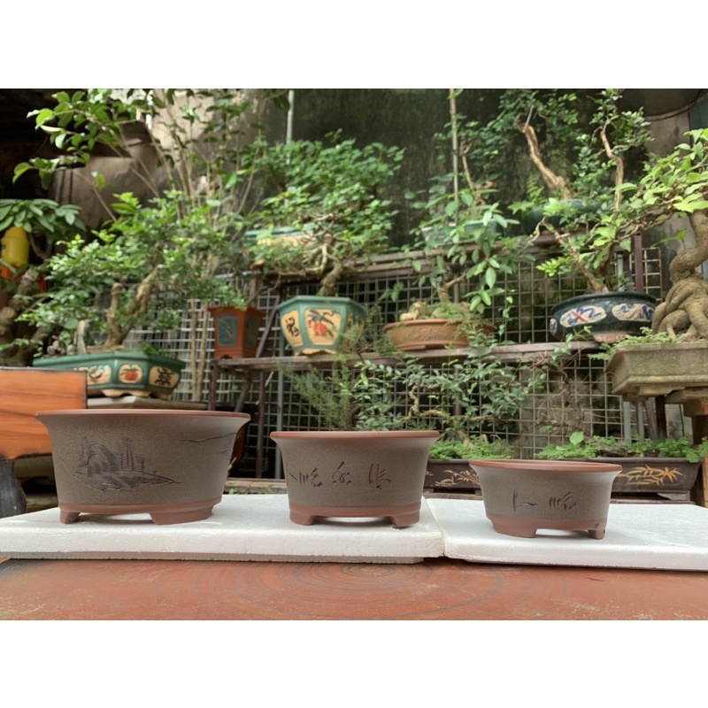 Chậu gốm tàu-chậu cảnh bonsai