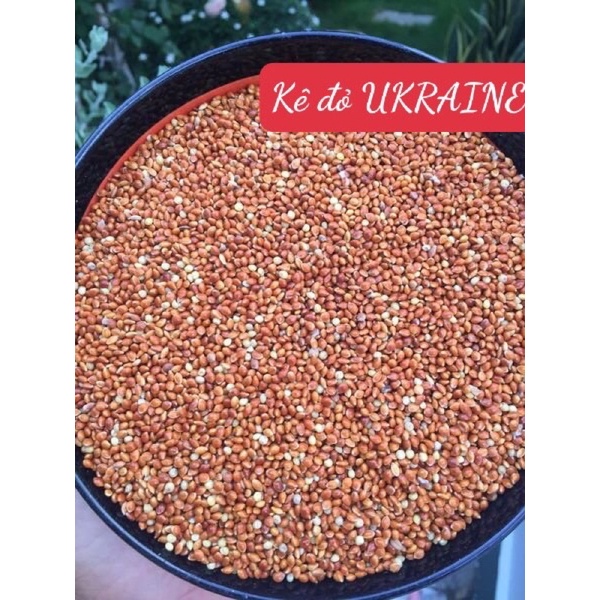 Kê đỏ bóng hạt to hàng nhập cho chim 1kg