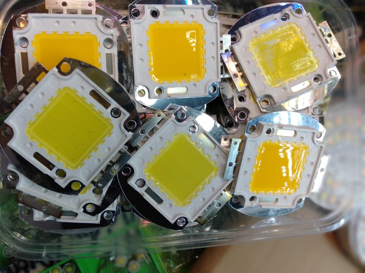 Nhân led 12v 50w